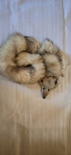 Echtpelz fuchsstola - echtpelz,