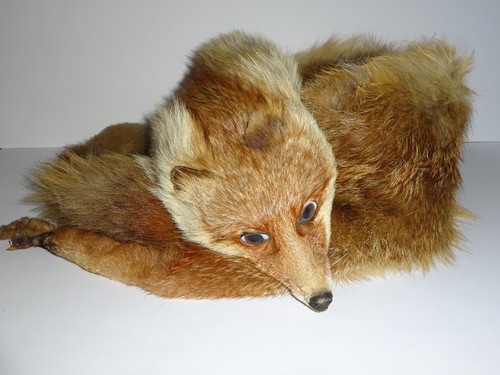 Pelzkragen rotfuchs stola - pelzkragen,