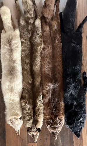 Echt pelz fuchs schal - pelz,