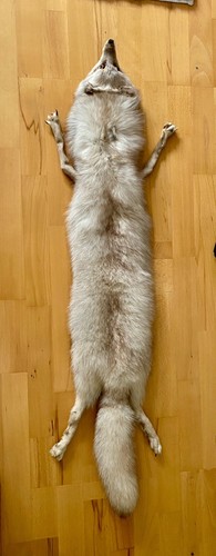 Pelz kragen stola silberfuchs - pelz,