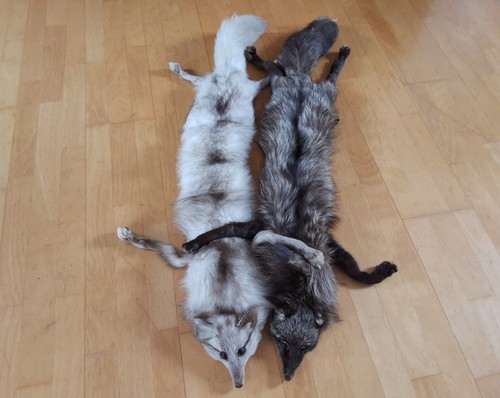 Fuchs stola kragen schal pelz - stola,