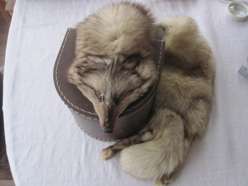 Pelzkragen pelzstola fuchs - 2,