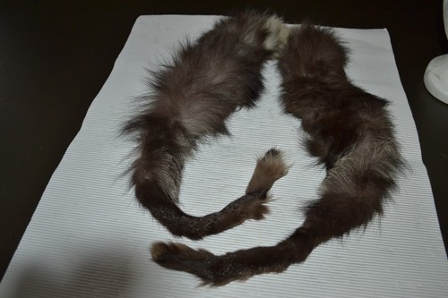 Pelzstola fuchs silberfuchs - pelzstola,