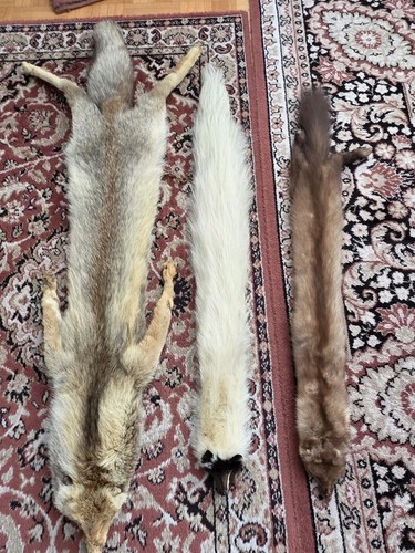 Pelz stola fuchs - fuchs, u.s.w