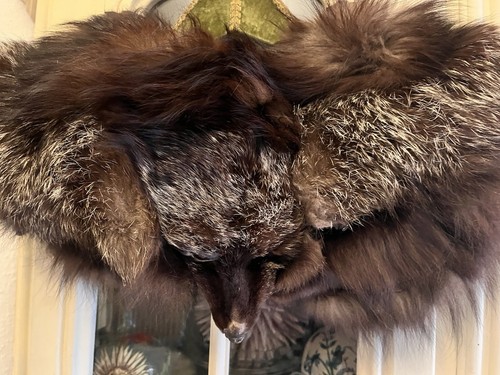 Echt pelz fuchs - fuchs, schal