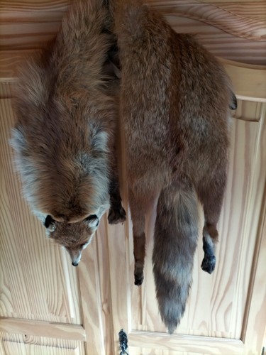 Fuchs pelz pelzstola - fuchs,