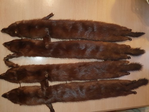 Nerzschal nerzkragen - nerzkragen, /