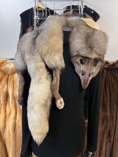 Blaufuchs fuchs kragen pelz - fuchs,