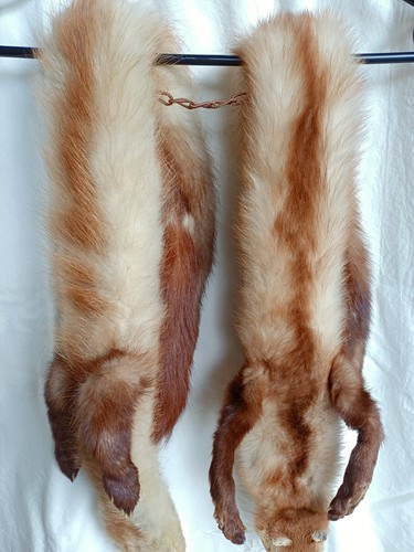 Vintage fuchs echtpelz - vintage,