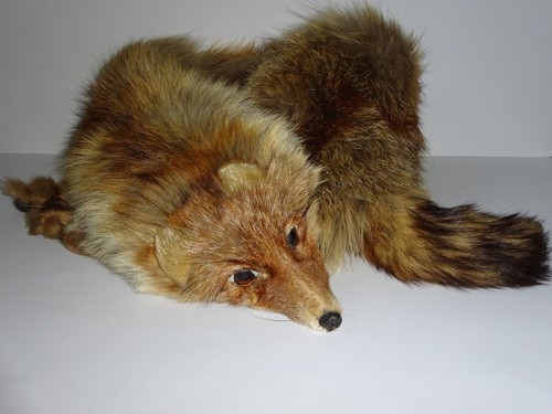 Pelzkragen stola rotfuchs - pelzkragen,